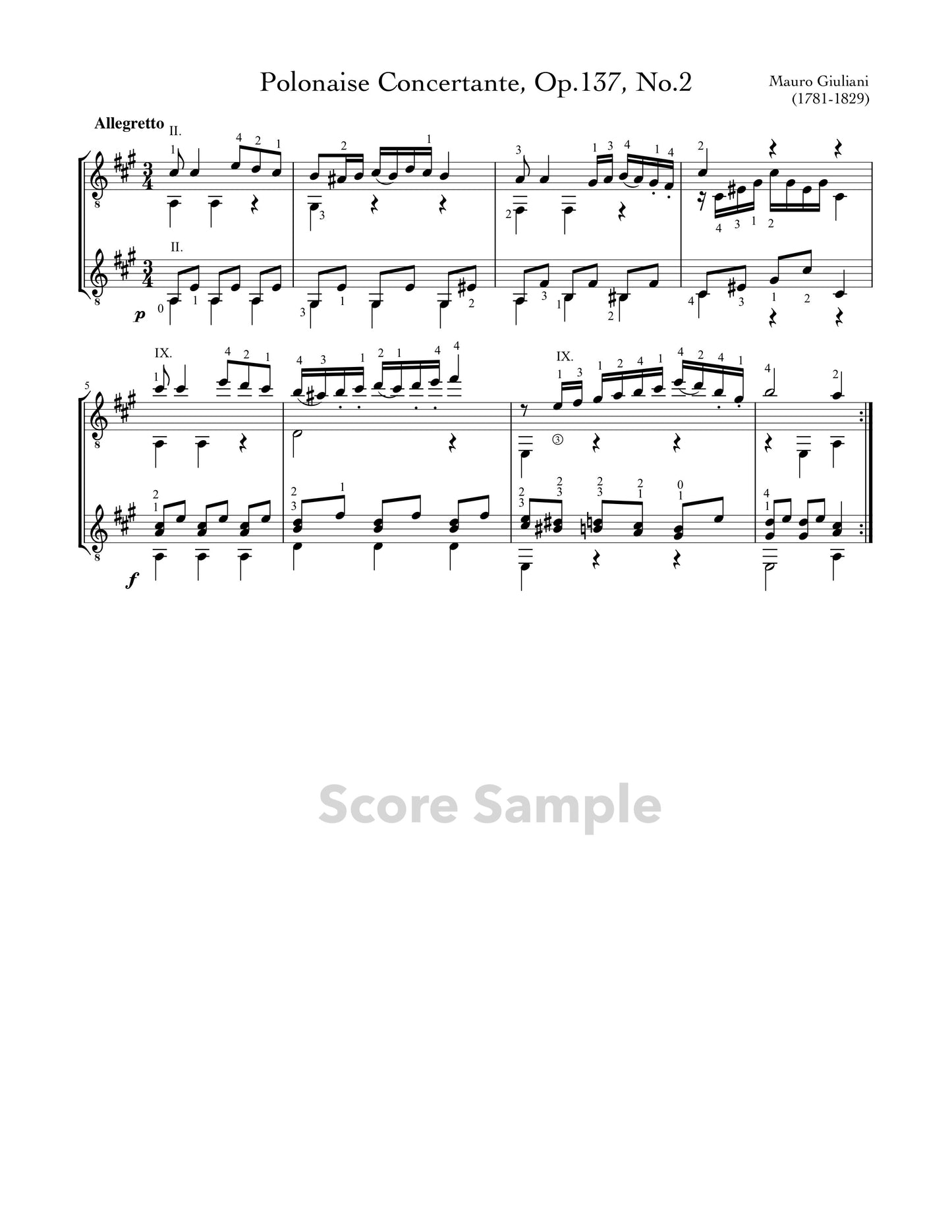 Polonaise Concertante, Op.137, No.2 by Giuliani - Guitar Duet