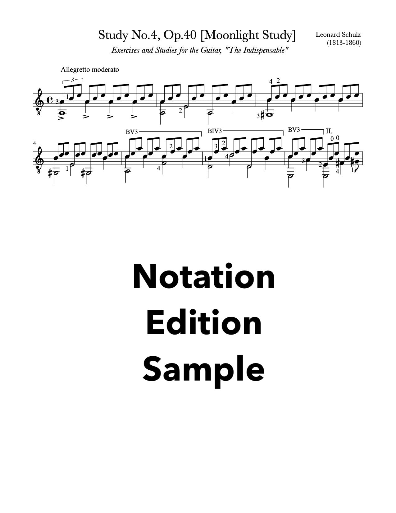 Study No.4, Op.40 [Moonlight Study] by Schulz - Sample