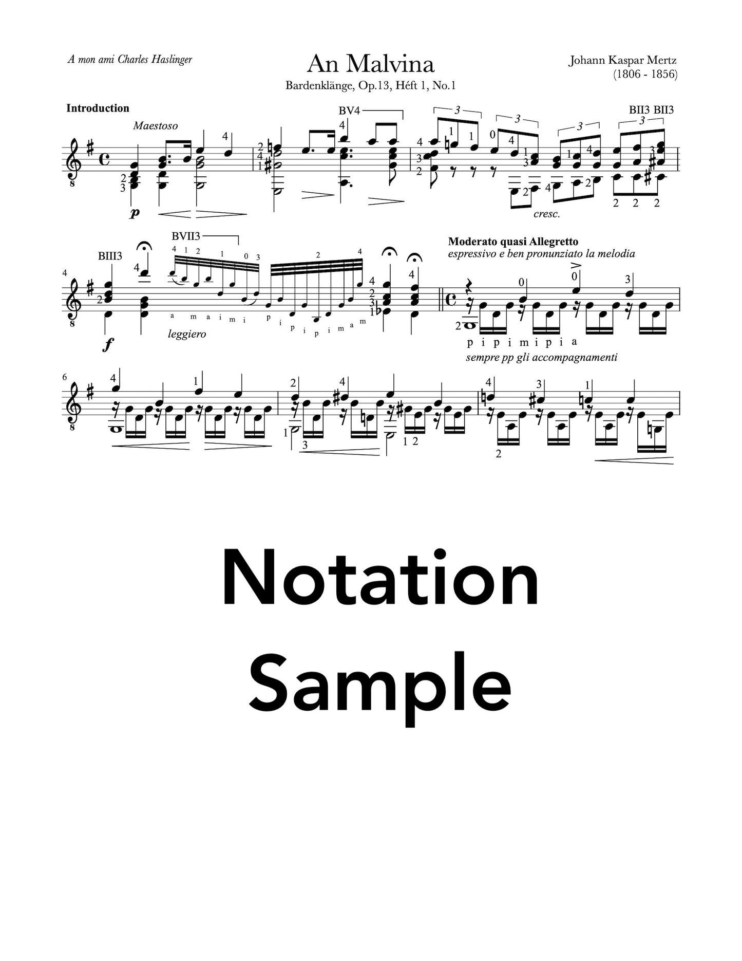 An Malvina by Mertz for Guitar (Notation Sample)
